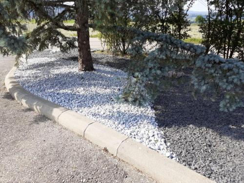 26970267-0f40-4987-aa25-6f1b11724410