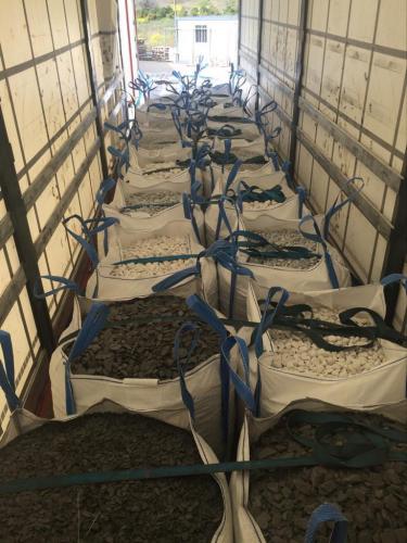 WhatsApp Image 2021-01-13 at 21.09.08