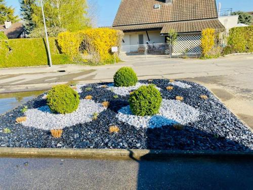 WhatsApp Image 2021-01-14 at 20.37.39