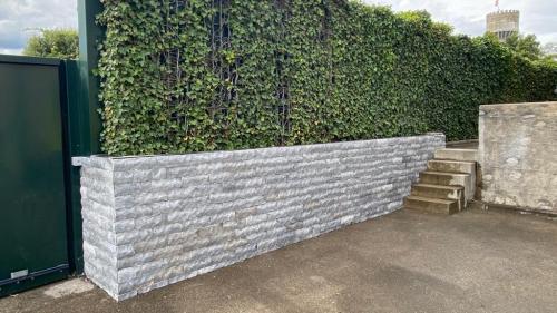 WhatsApp Image 2021-01-17 at 20.03.31