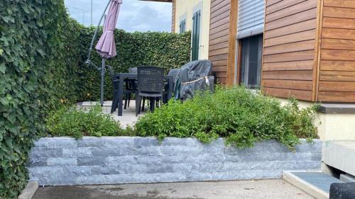 WhatsApp Image 2021-01-17 at 20.03.31 (1)