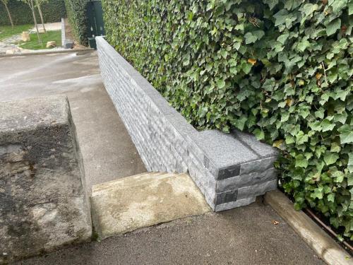 WhatsApp Image 2021-01-17 at 20.04.22