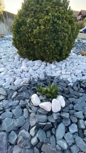 df88f463-6029-4b34-9bce-85eae088377f